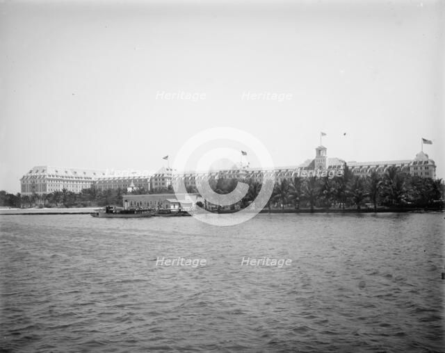 Royal Poinciana from wharf, Palm Beach, Fla., 1902. Creator: Unknown.