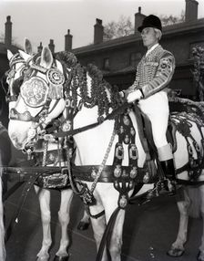 Royal postilion on a grey horse at the Royal Mews in London, c1953. Creator: Arthur Charles Kirby Ware