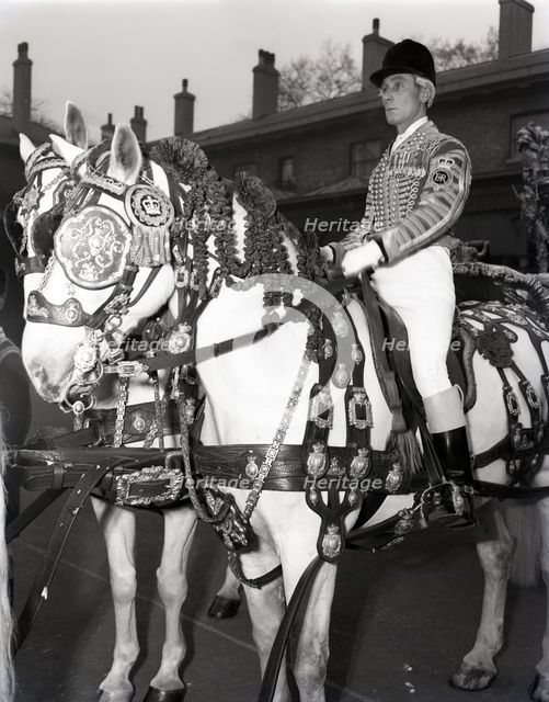 Royal postilion on a grey horse at the Royal Mews in London, c1953. Creator: Arthur Charles Kirby Ware.