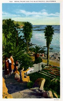 Royal Palms and the Blue Pacific, California postcard, 1931