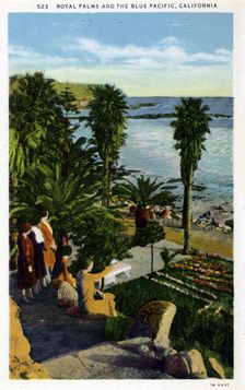 Royal Palms and the Blue Pacific, California postcard, 1931