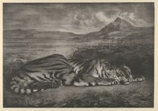 Royal Tiger, 1829., 1829. Creator: Eugene Delacroix