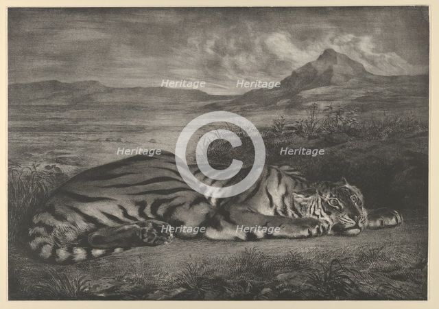 Royal Tiger, 1829., 1829. Creator: Eugene Delacroix.