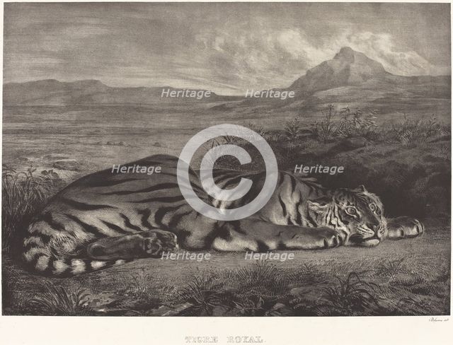 Royal Tiger (Tigre Royal), 1829. Creator: Eugene Delacroix.