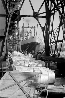 Royal Victoria Dock, Canning Town, London, c1945-c1965. Artist: SW Rawlings