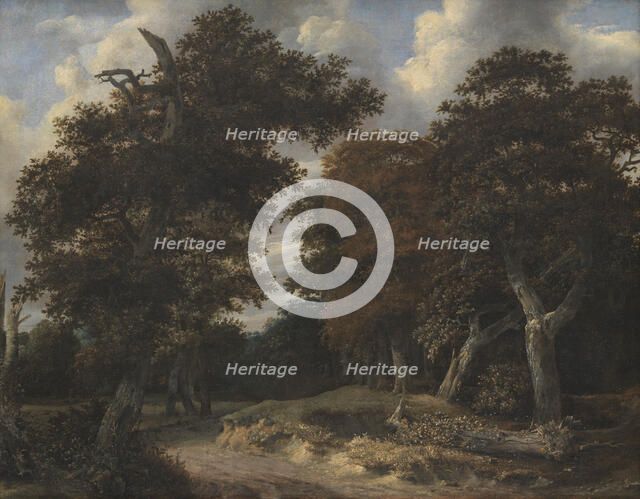Road through an Oak Forest, 1646-1647. Artist: Ruisdael, Jacob Isaacksz, van (1628/29-1682)