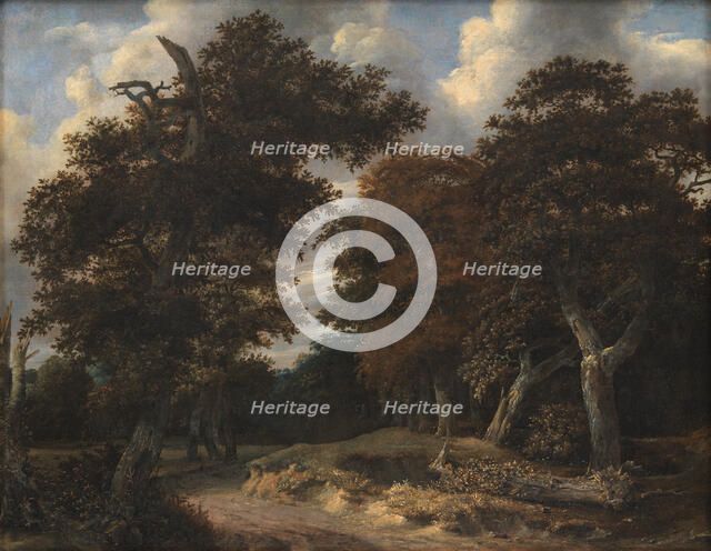 Road through an Oak Forest, 1646-1647. Creator: Jacob van Ruisdael.