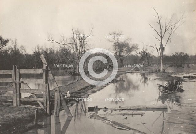 Road Through Flooded Land, 1890s-1900s. Creator: Morgan Whitney.