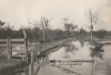 Road Through Flooded Land, 1890s-1900s. Creator: Morgan Whitney