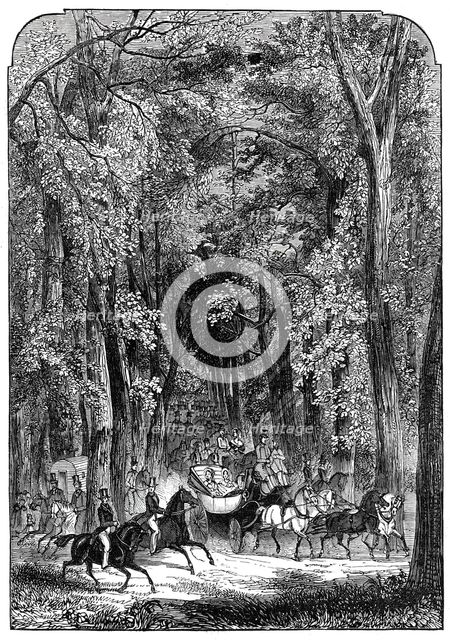 Road through Goodwood Park, 1844. Creator: Unknown.