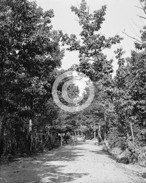 Road to High Rock, Pen Mar Park, Md., between 1900 and 1906. Creator: Unknown.
