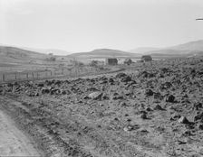 Road up the valley toward Ola self-help sawmill co-op, Gem County, Idaho, 1939. Creator: Dorothea Lange