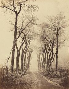 Road and Trees with Hoarfrost, 1860. Creator: Eugène Cuvelier