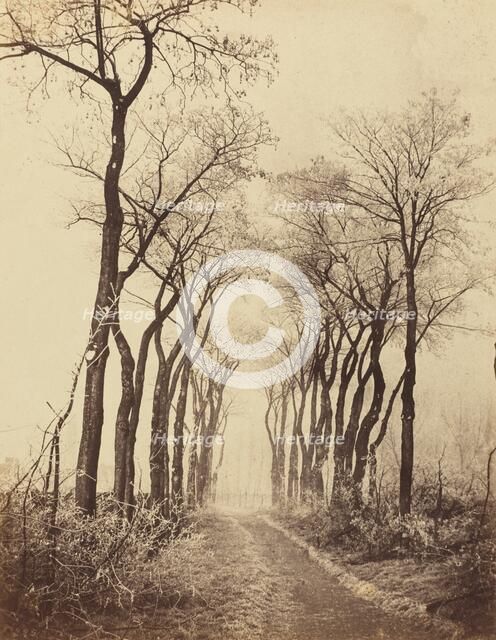 Road and Trees with Hoarfrost, 1860. Creator: Eugène Cuvelier.