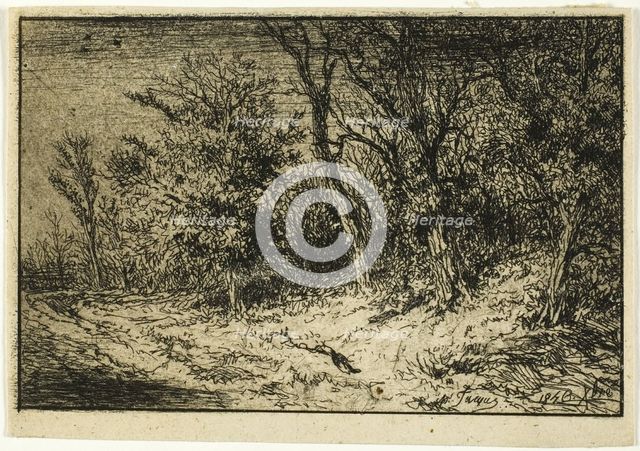 Road at the Edge of a Wood, 1846. Creator: Charles Emile Jacque.