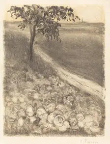 Road by a Field of Cabbages, c. 1880. Creator: Camille Pissarro