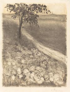 Road by a Field of Cabbages, c. 1880. Creator: Camille Pissarro
