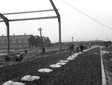 Road construction work, Doncaster, South Yorkshire, November 1955. Creator: Michael Walters