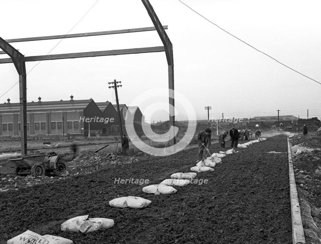 Road construction work, Doncaster, South Yorkshire, November 1955. Creator: Michael Walters.