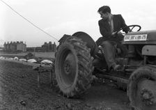Road construction work, Doncaster, South Yorkshire, November 1955. Creator: Michael Walters