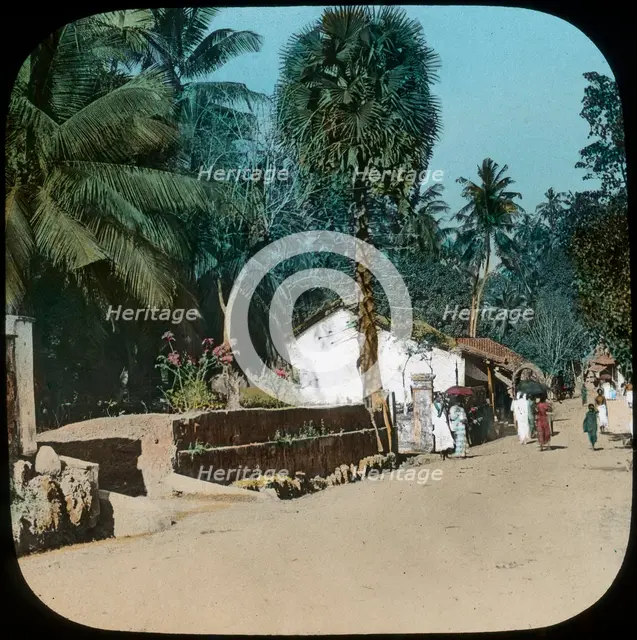 Road from Colombo to Galle, Colombo, Ceylon, late 19th or early 20th century. Artist: Unknown