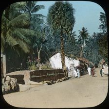 Road from Colombo to Galle, Colombo, Ceylon, late 19th or early 20th century