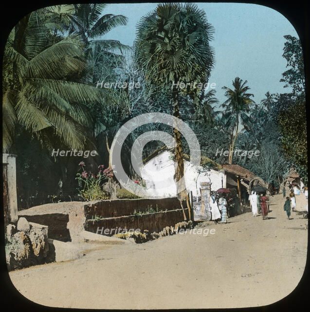 Road from Colombo to Galle, Colombo, Ceylon, late 19th or early 20th century. Artist: Unknown
