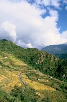 Road from Puntsholing to Paro, Bhutan. Creator: Vivienne Sharp