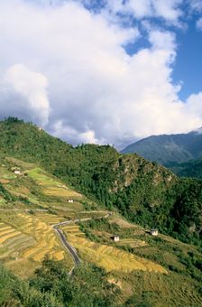 Road from Puntsholing to Paro, Bhutan. Creator: Vivienne Sharp