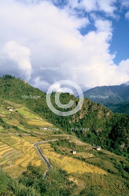 Road from Puntsholing to Paro, Bhutan. Creator: Vivienne Sharp.