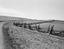 Road going up Squaw Creek Valley, leaving Ola, Ola self-help sawmill co-op, Gem County, Idaho, 1939. Creator: Dorothea Lange