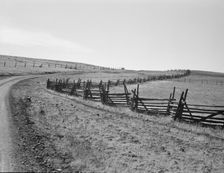 Road going up Squaw Creek Valley, leaving Ola, Ola self-help sawmill co-op, Gem County, Idaho, 1939. Creator: Dorothea Lange