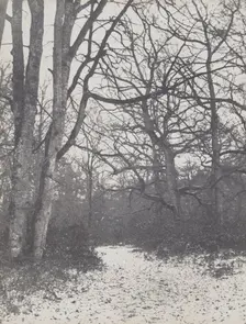 Road in the Forest, 1860-1863. Creator: Eugène Cuvelier (French, 1837-1900)