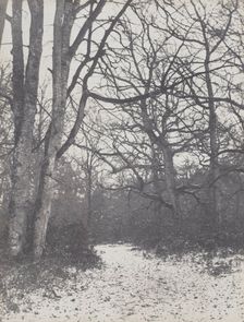 Road in the Forest, 1860-1863. Creator: Eugène Cuvelier (French, 1837-1900)