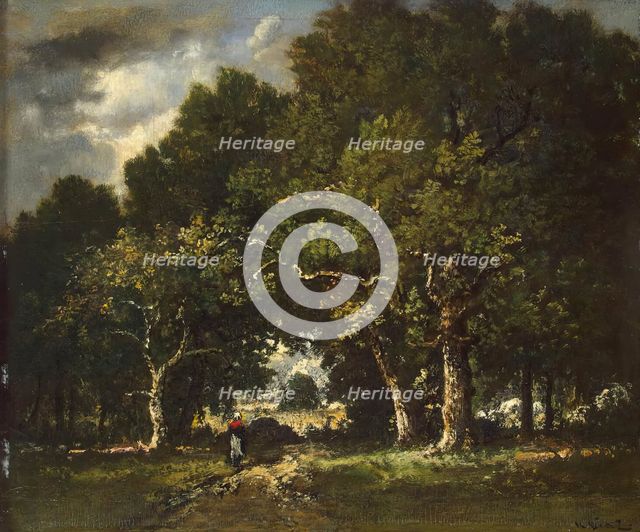 Road in the Wood, 1850. Creator: Narcisse Virgile Diaz de la Pena.