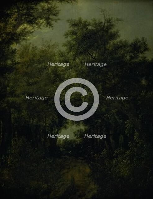 Road in an Oak Forrest, 1646. Creator: Jacob van Ruisdael.