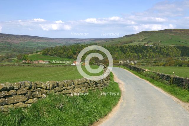 Road in Farndale, North York Moors, North Yorkshire. Creator: Peter Thompson.