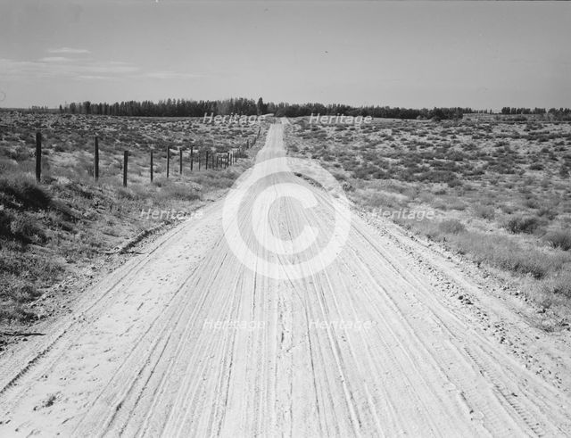 Road leading to small farm in northern Oregon, Irrigon, Morrow County, Oregon, 1939. Creator: Dorothea Lange.