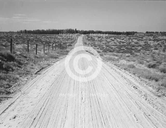 Road leading to small farm in northern Oregon, Irrigon, Morrow County, Oregon, 1939. Creator: Dorothea Lange.
