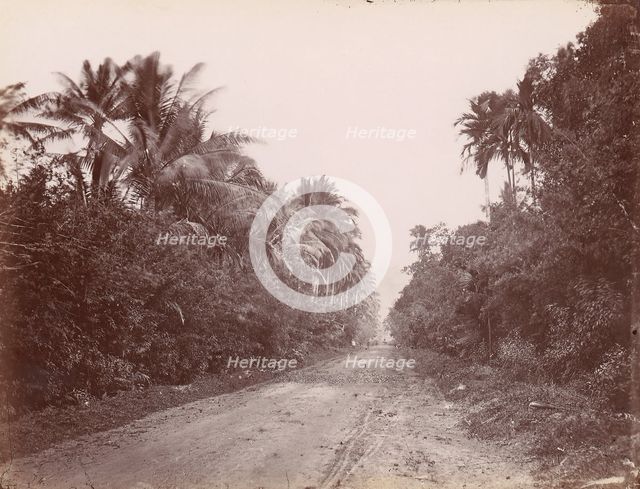 Road Near Singapore, 1860s-70s. Creator: Unknown.