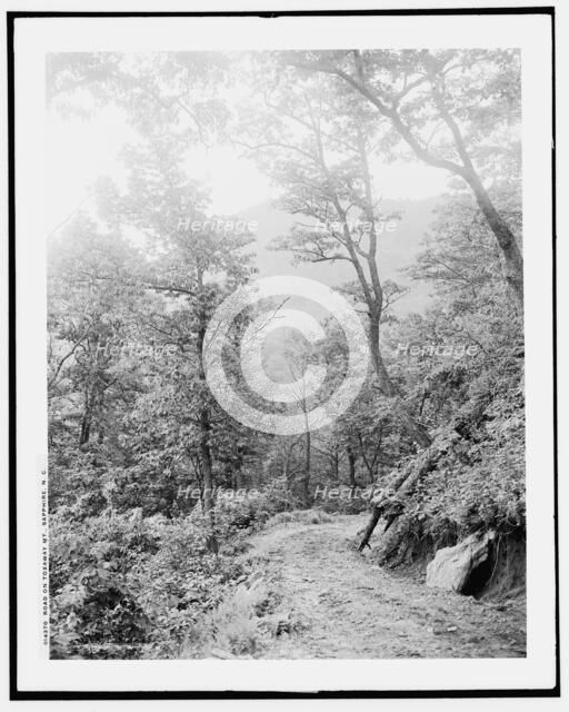Road on Toxaway Mt., Sapphire, N.C., (1902?). Creator: William H. Jackson.