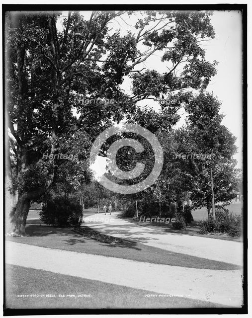 Road on Belle Isle Park, Detroit, between 1890 and 1901. Creator: Unknown.