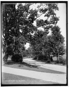 Road on Belle Isle Park, Detroit, between 1890 and 1901. Creator: Unknown