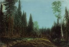 Roadbed Before Planning. Kedrovsk-Alekseevsk Road, 1906-1908. Creator: Dorozhno-Stroitel'nyi Otdel