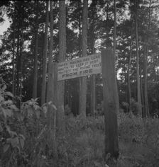 Roadsign, Fullerton, Louisiana, 1937. Creator: Dorothea Lange