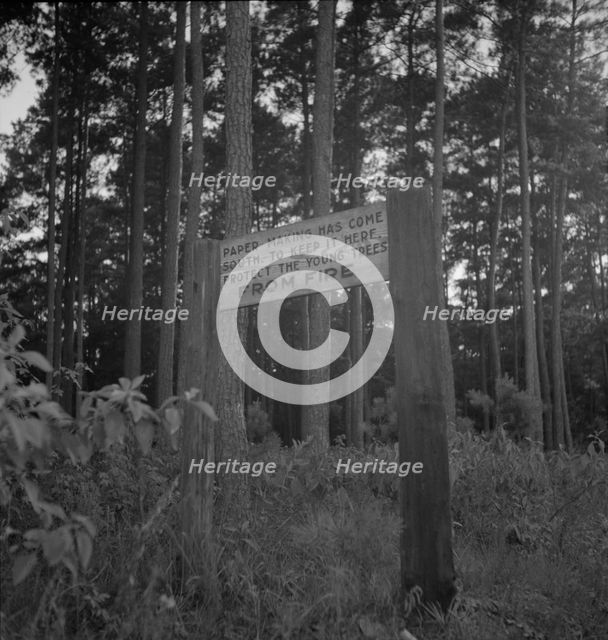 Roadsign, Fullerton, Louisiana, 1937. Creator: Dorothea Lange.