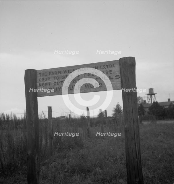 Roadsign near Fullerton, Louisiana, 1937. Creator: Dorothea Lange.