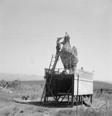 Roadside sculpture (under repair) on U.S. 101, entering Petaluma, Sonoma County, 1939. Creator: Dorothea Lange