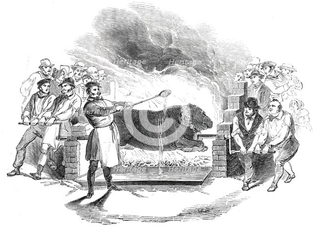 Roasting the ox, at Buckingham, 1844. Creator: Unknown.