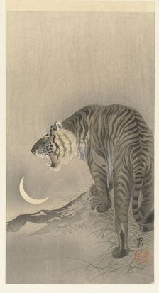 Roaring tiger. Creator: Ohara, Koson (1877-1945)